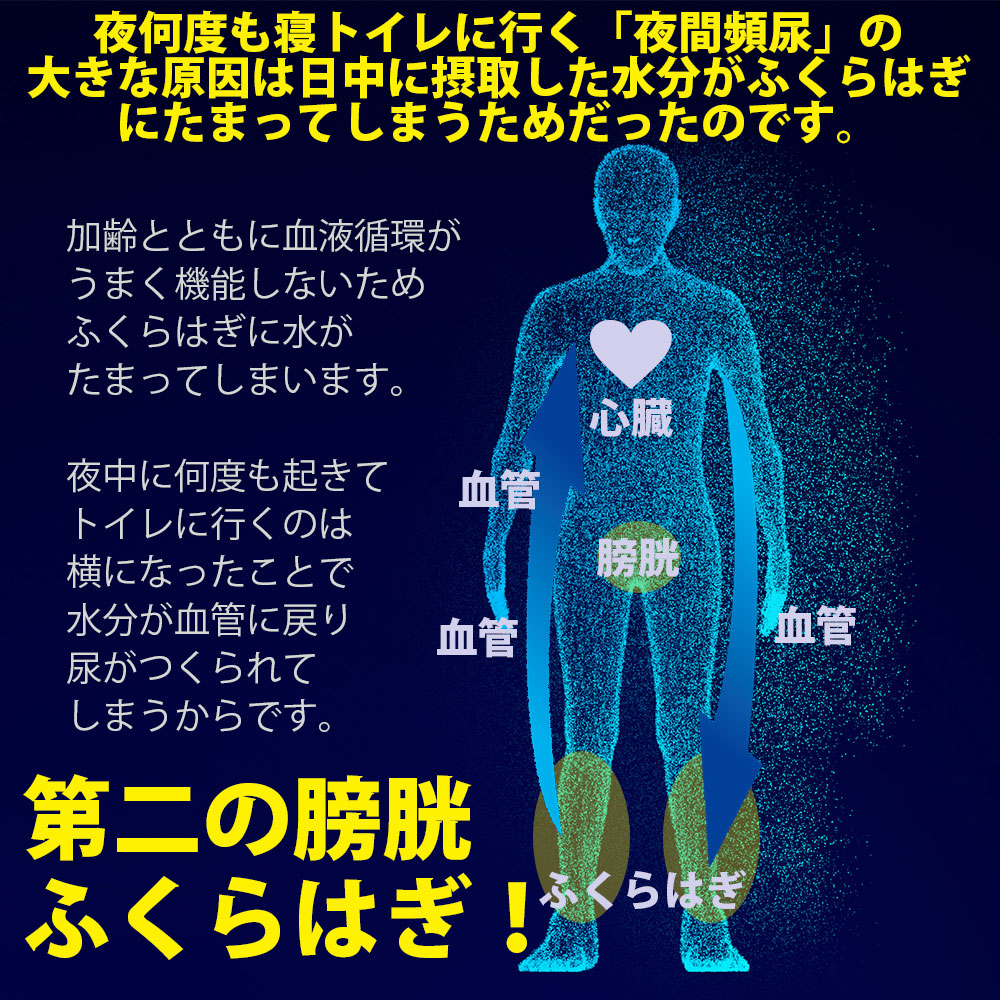 頻 夜間 尿 ガッテン ためして 夜間頻尿について